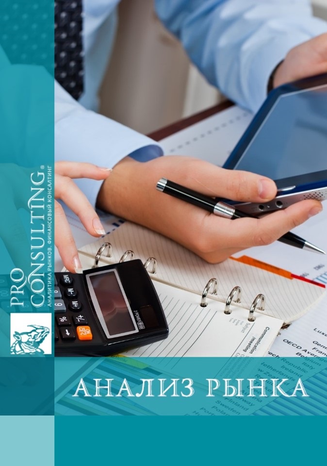 Анализ рынка кредитных, банковских и лизинговых услуг Украины. 2009 год